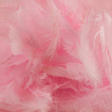 Baby Footprints Clear Helium Filled Single Bubble Balloon With Feathers