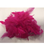 Clear Helium Filled Single Bubble Balloon With Feathers