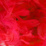 Clear Helium Filled Single Bubble Balloon With Feathers