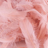 Clear Helium Filled Single Bubble Balloon With Feathers