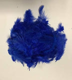 Clear Helium Filled Single Bubble Balloon With Feathers