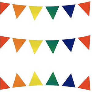 Multi Coloured Pennant Bunting 10m Long