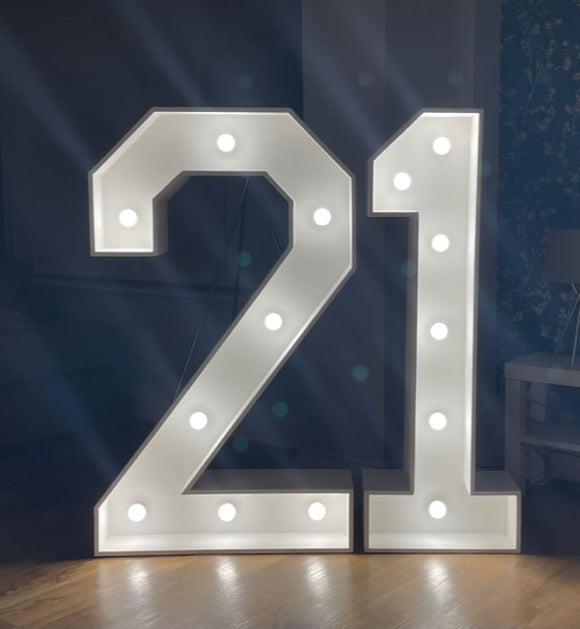 4ft LED Light Up Numbers In 0-9
