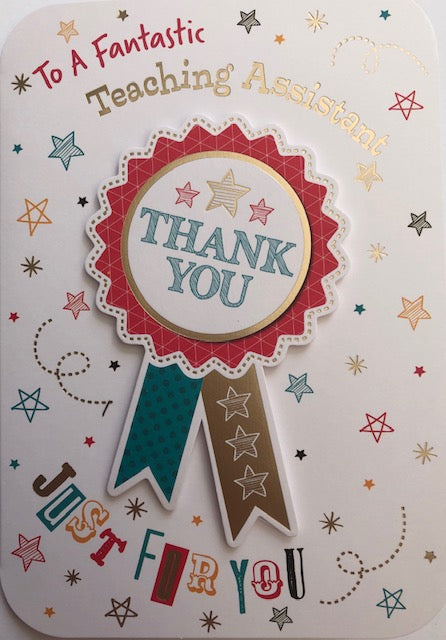 To A Fantastic Teaching Assistant Thank You Greeting Card