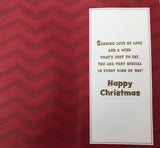 To A Fantastic Nephew At Christmastime Greeting Card