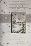 To A Wonderful Dad Christmas Greeting Card