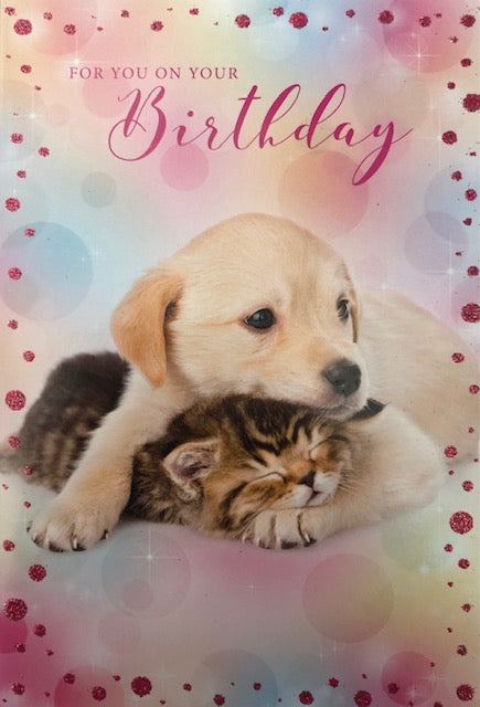 For You On Your Birthday Dog And Cat Greeting Card