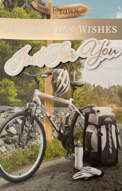 Father's Day Wishes Greeting Card
