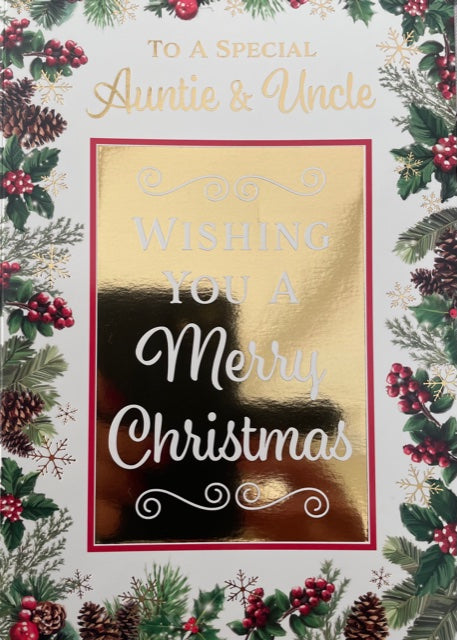 To A Special Auntie And Uncle Christmas Greeting Card