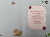 To A Very Special Nephew 3rd Birthday Greeting Card
