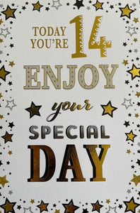 Today You're 14 Stars Birthday Greeting Card
