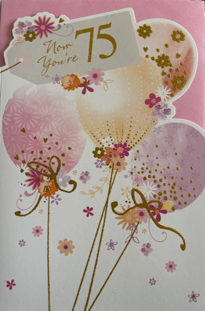 Now You're 75 Birthday Greeting Card
