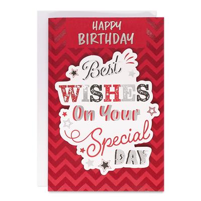 Best Wishes On Your Special Day Birthday Greeting Card