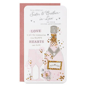 To A Special Sister And Brother-In-Law Silver Anniversary Greeting Card