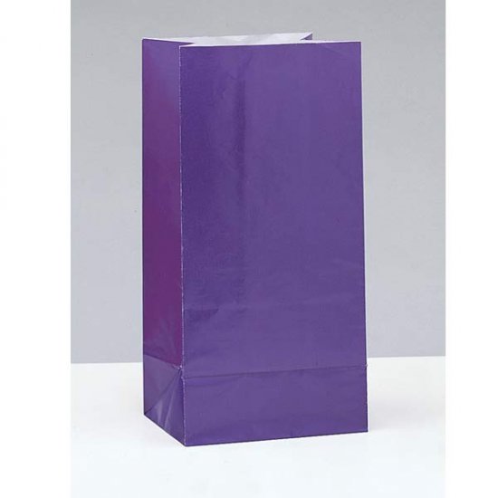 Purple Paper Party Loot Bags x12